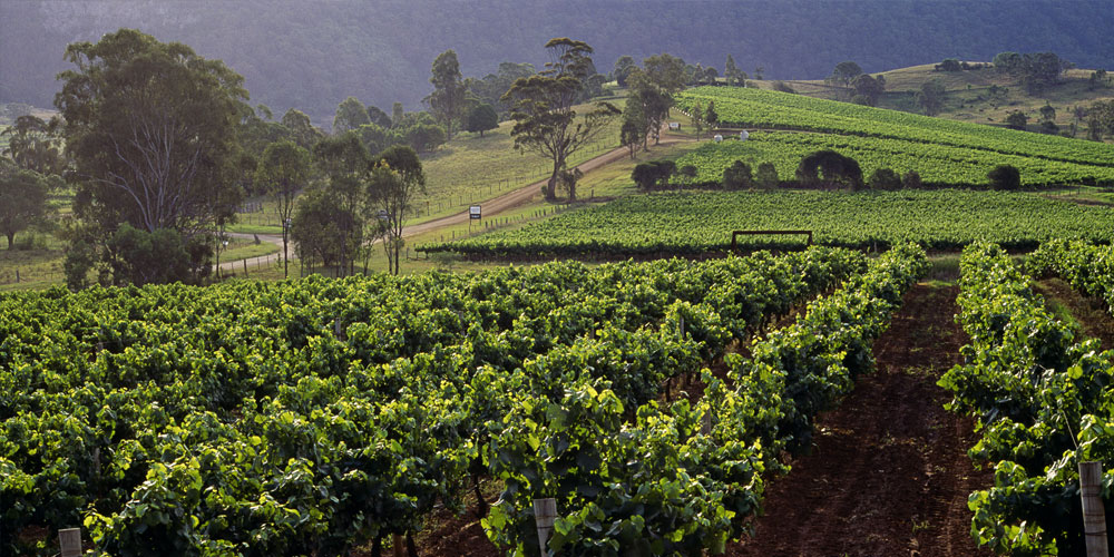 Hunter Valley Vineyard Tour, Boutique Accommodation & Hot Air Ballooning