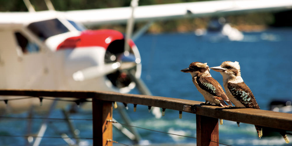Fly and dine with Sydney Seaplanes