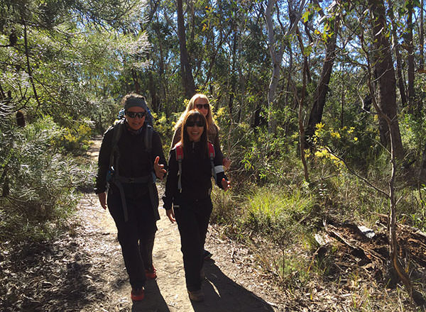 An extra day hike or bush walk in the Blue Mountains private tour