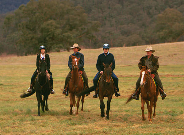Horseriding in the Blue Mountains on a private tour