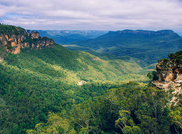 View in the Megalong Valley in the Blue Mountains on a private tour