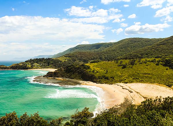 An image of a stunning beach on the Royal National Park Private Tour